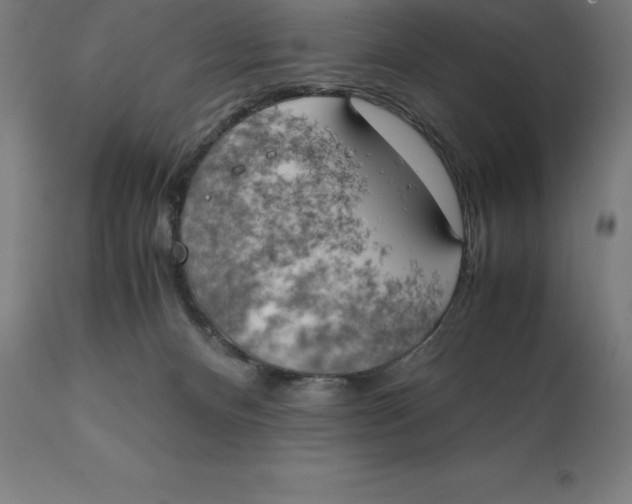 X0000111150128200907211212