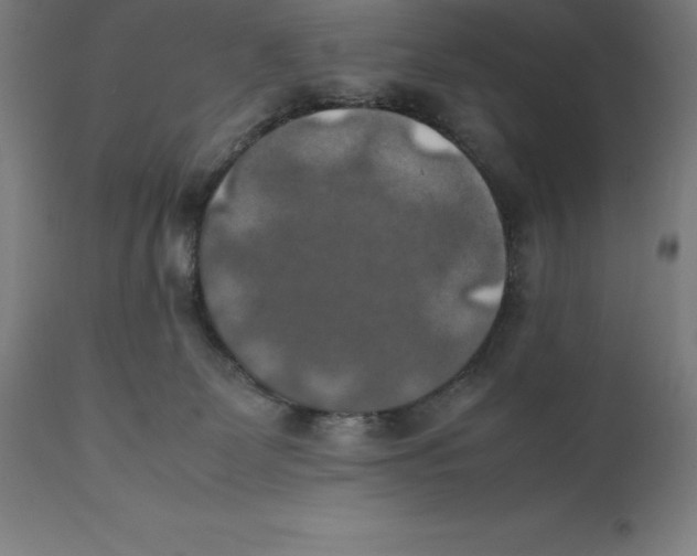 X0000111150131200907211212