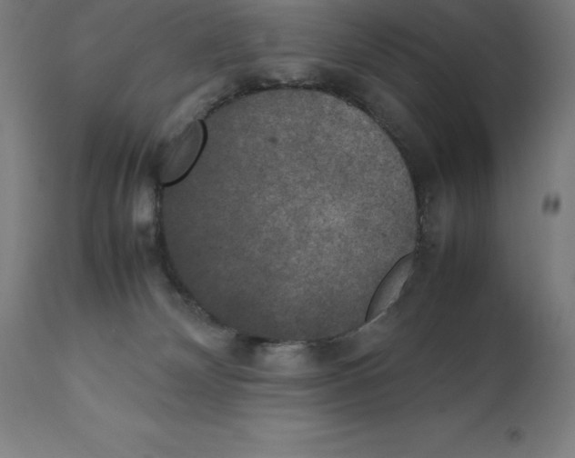 X0000111150132200907211212