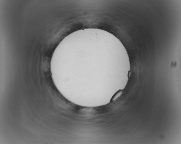 X0000111150133200907211212