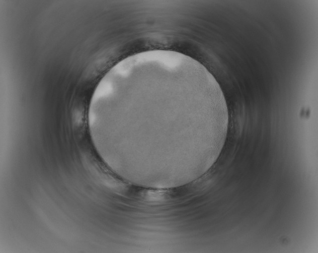 X0000111150134200907211212