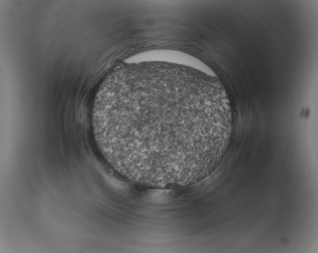 X0000111150136200907211212