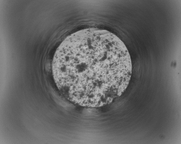 X0000111150137200907211212