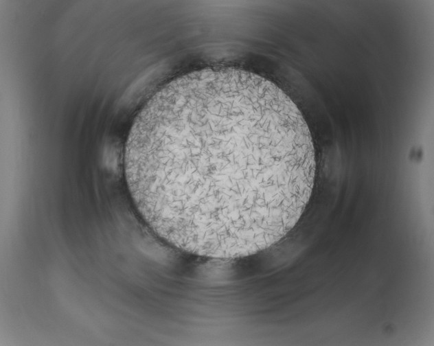 X0000111150138200907211212