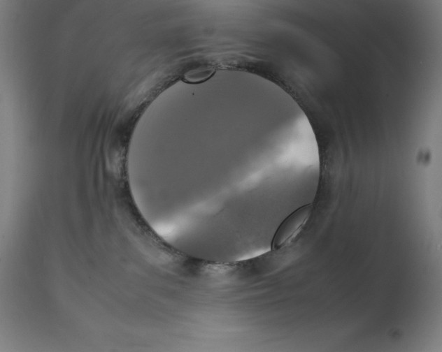 X0000111150139200907211212