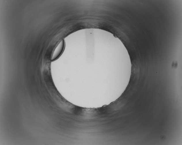 X0000111150141200907211212