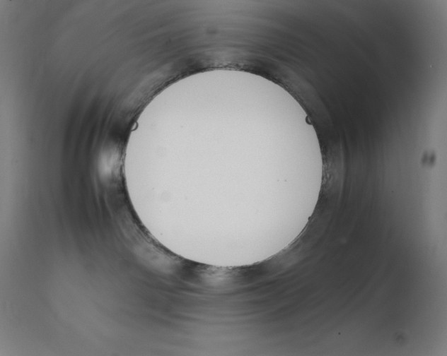 X0000111150142200907211212