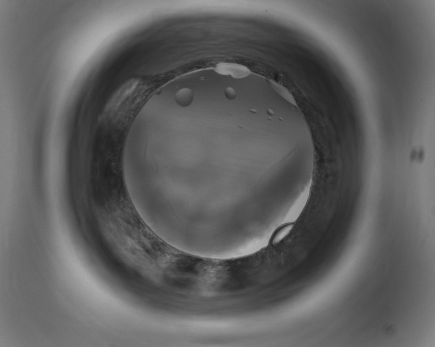 X0000111150143200907211212