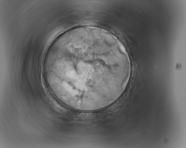 X0000111150145200907211211