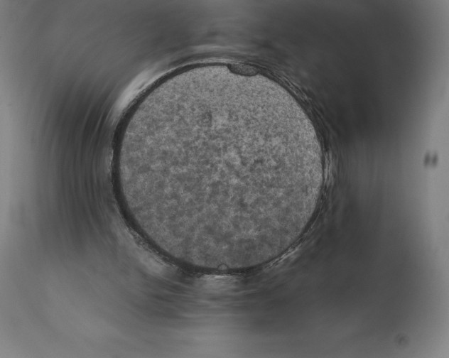 X0000111150150200907211211