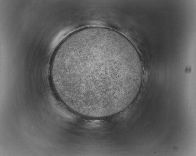 X0000111150151200907211211