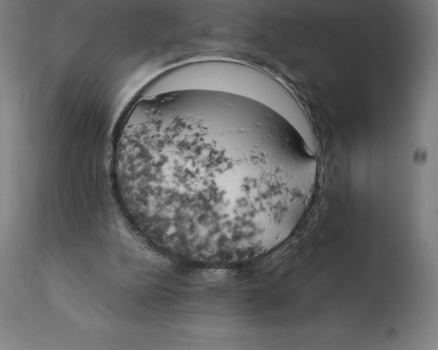 X0000111150152200907211211