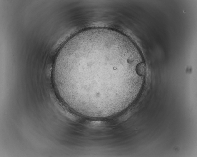 X0000111150153200907211211