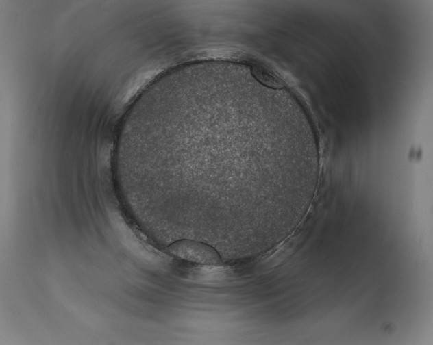 X0000111150154200907211211