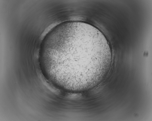 X0000111150155200907211211