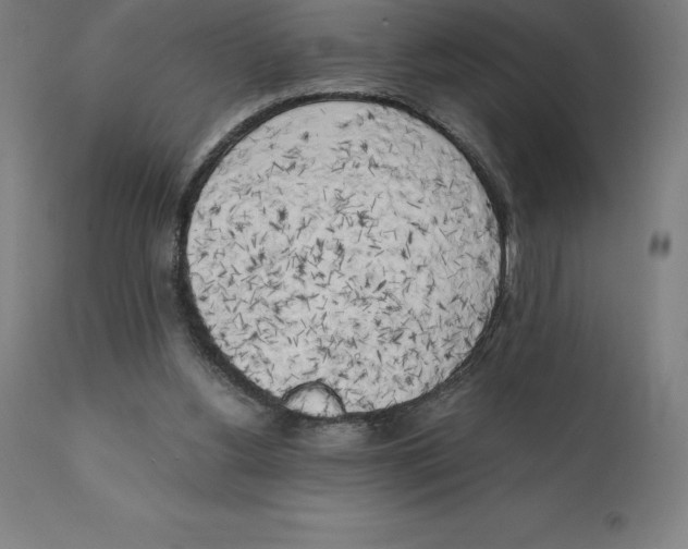 X0000111150156200907211211