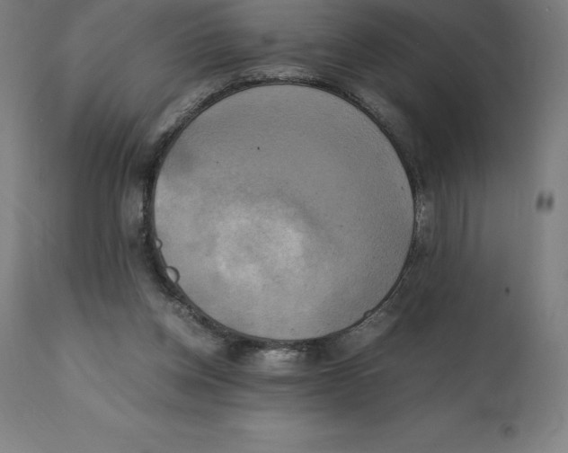 X0000111150158200907211211