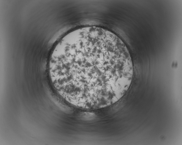 X0000111150159200907211211