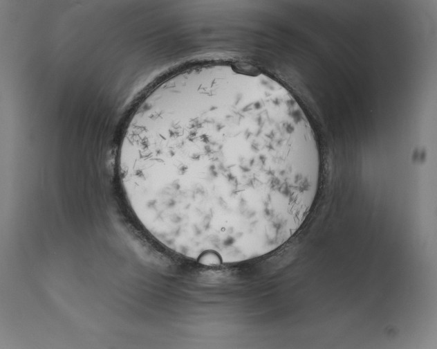 X0000111150160200907211211