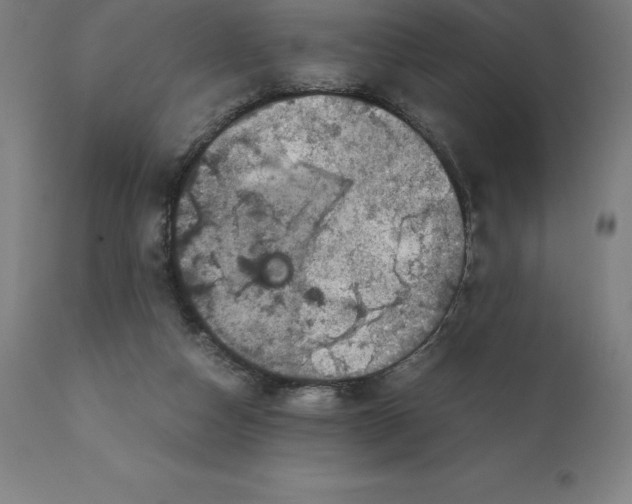 X0000111150162200907211211