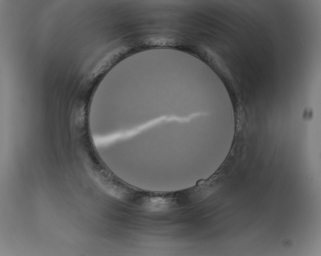 X0000111150163200907211211