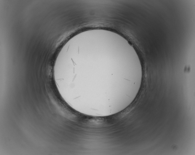 X0000111150164200907211211