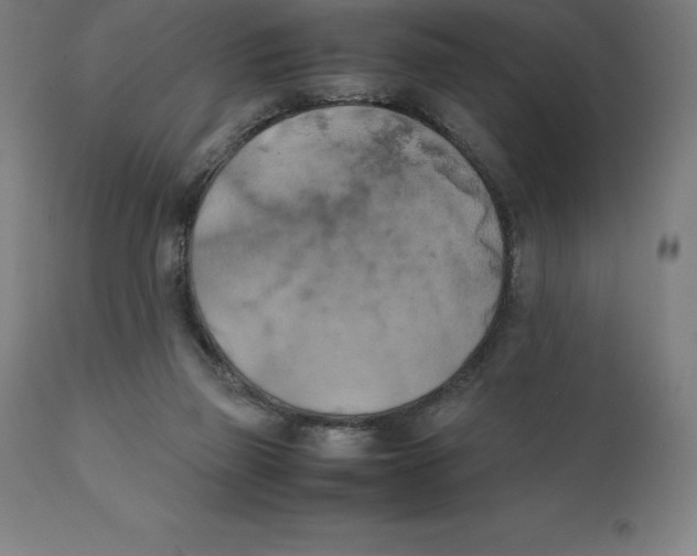 X0000111150165200907211211