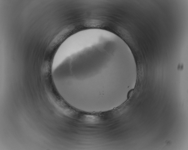 X0000111150167200907211212