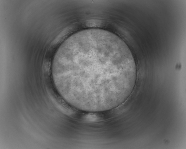 X0000111150171200907211212