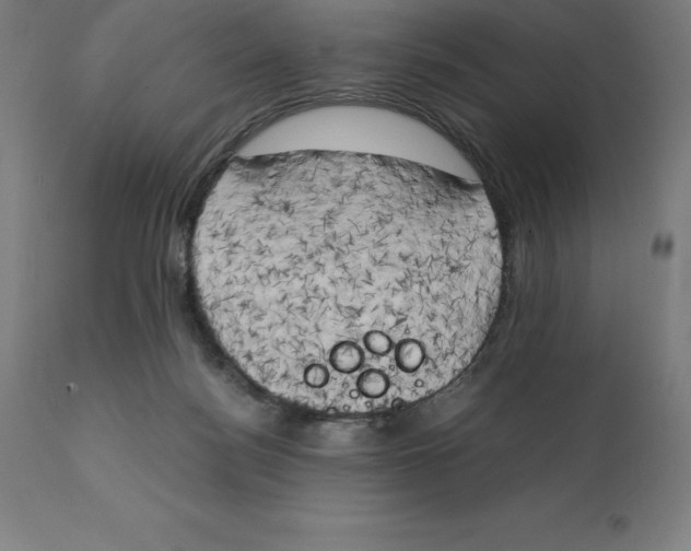 X0000111150172200907211212