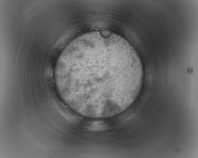 X0000111150173200907211212