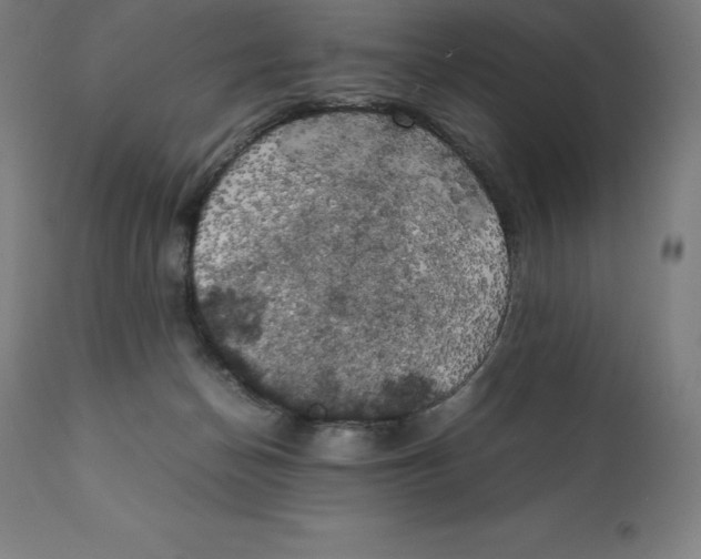 X0000111150174200907211212