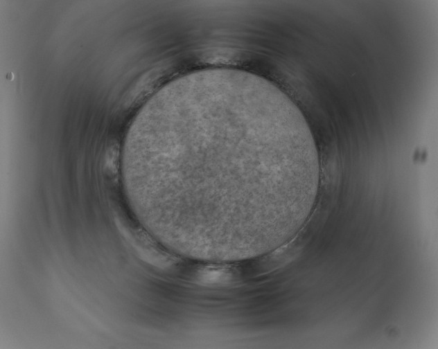 X0000111150175200907211212