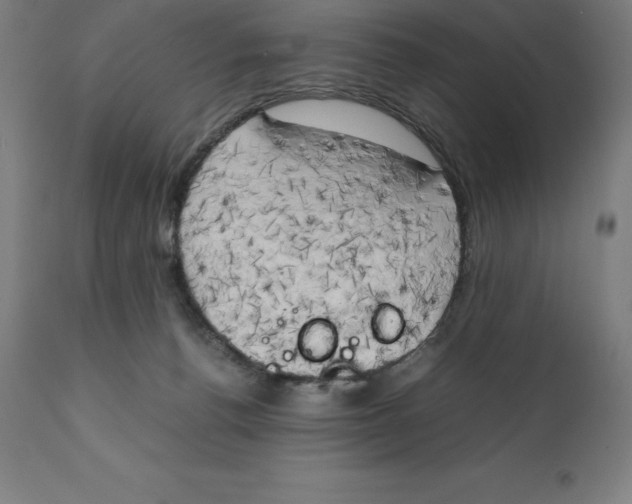 X0000111150176200907211212