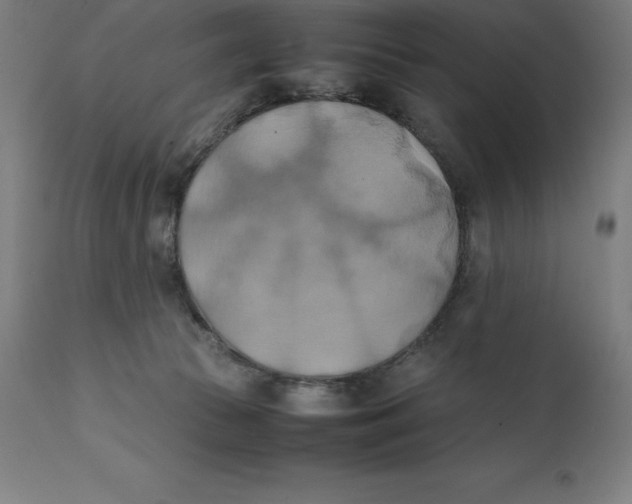 X0000111150177200907211212