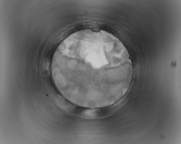 X0000111150178200907211212