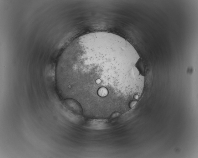 X0000111150179200907211212