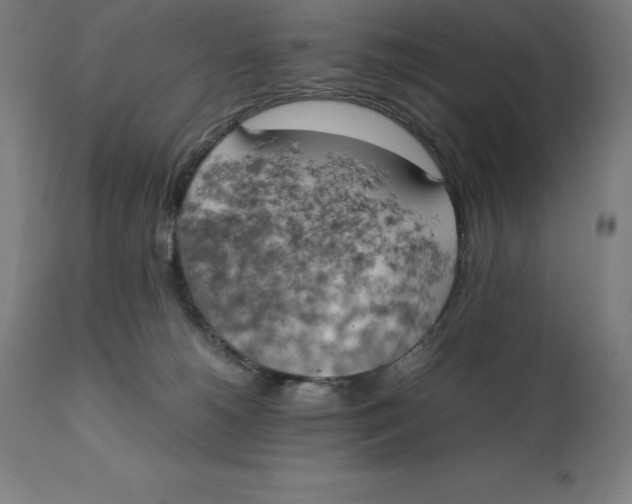 X0000111150180200907211212