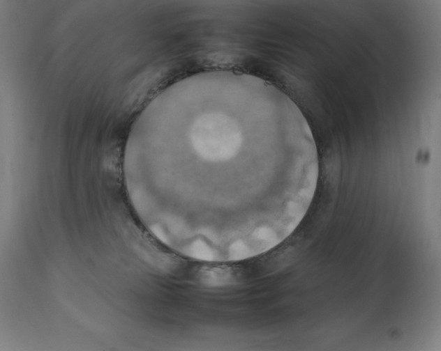 X0000111150181200907211212