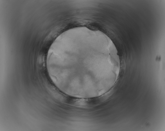 X0000111150182200907211212