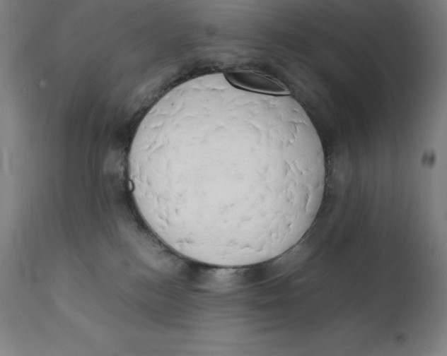 X0000111150184200907211212