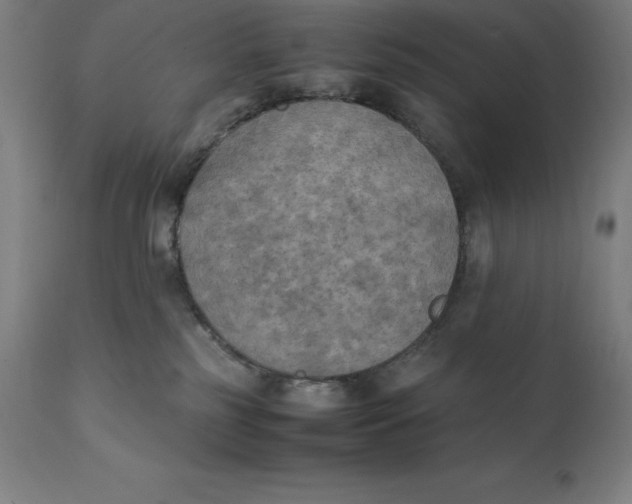 X0000111150185200907211212