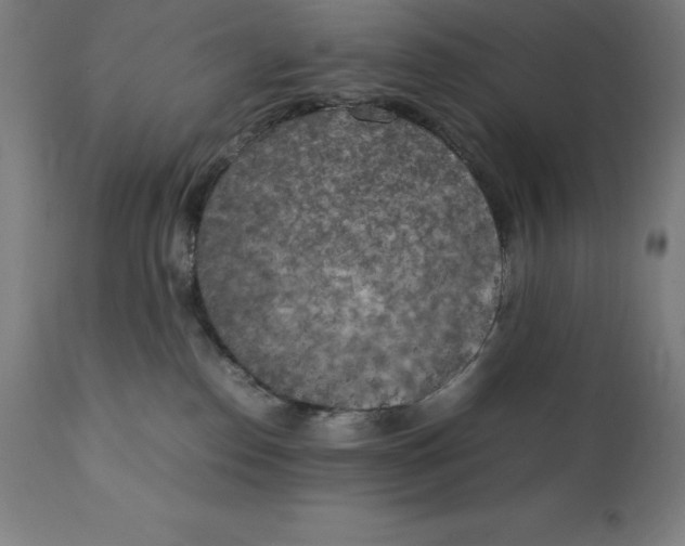 X0000111150186200907211212