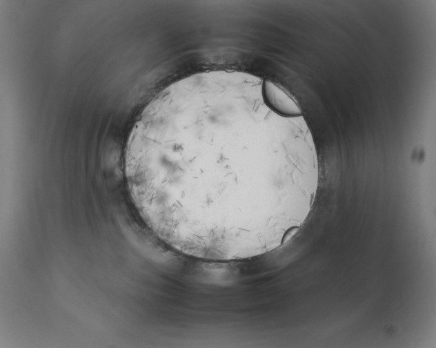 X0000111150187200907211212