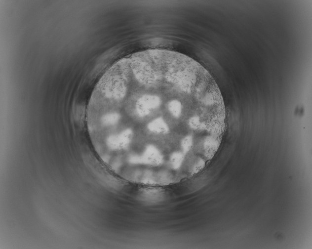 X0000111150189200907211212