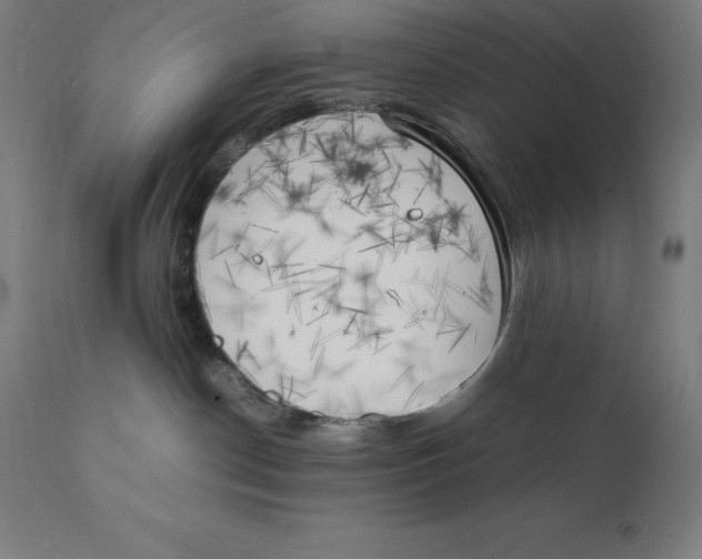 X0000111150190200907211212