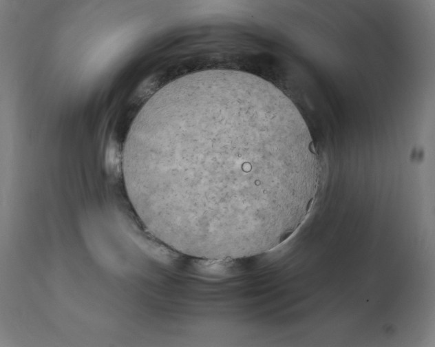 X0000111150191200907211212