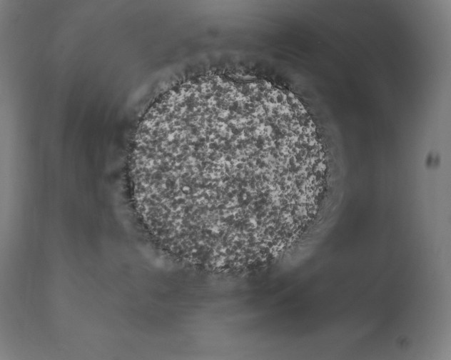 X0000111150192200907211212