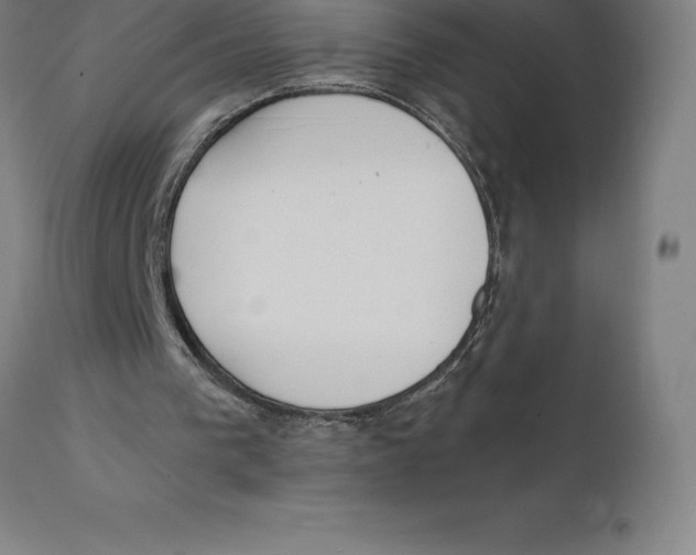 X0000111150193200907211211