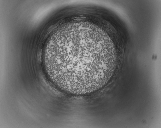 X0000111150194200907211211